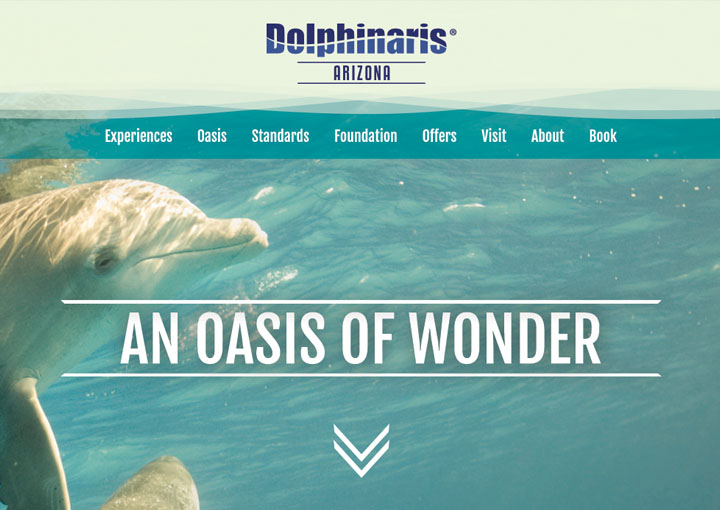 Dolphinaris Website
